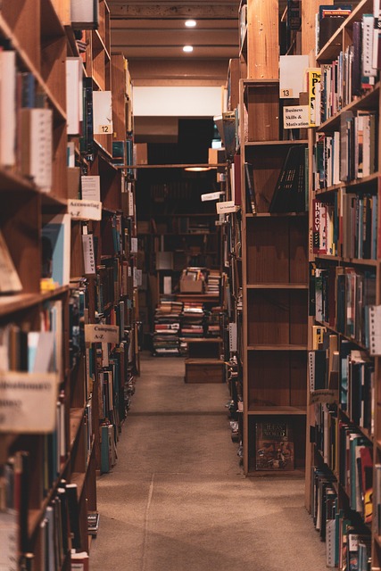 Corridoio di una biblioteca tra scaffali di libri