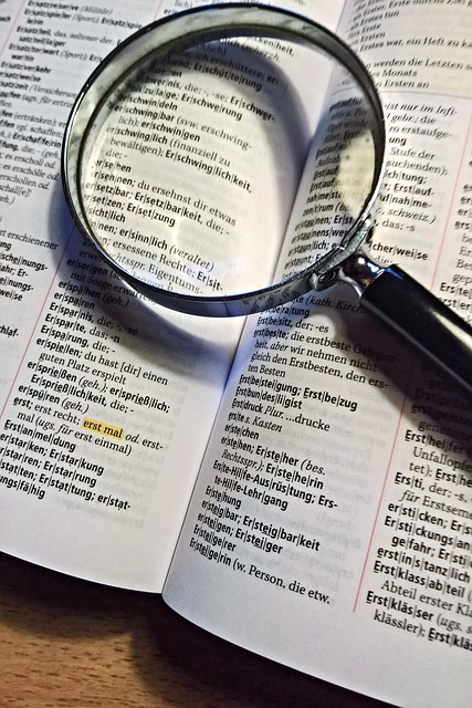 Una lente d'ingrandimento su un dizionario aperto